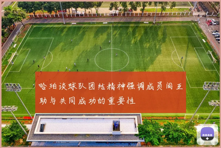 哈珀谈球队团结精神强调成员间互助与共同成功的重要性
