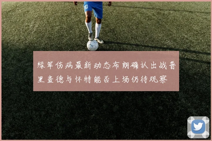 绿军伤病最新动态布朗确认出战普里查德与怀特能否上场仍待观察